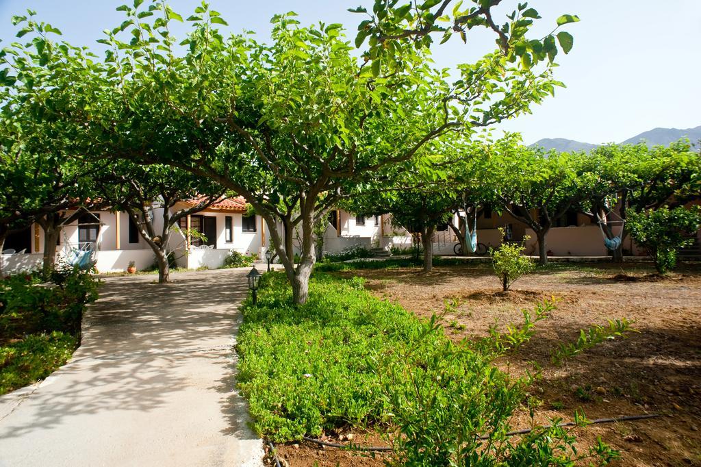 פראנגוקאסטלון Dolphin Apartments מראה חיצוני תמונה